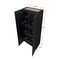 Manhattan Comfort Hopkins Storage Closet 2.0 in Black - Set of 2 2-2GLF-BK - alternate 10